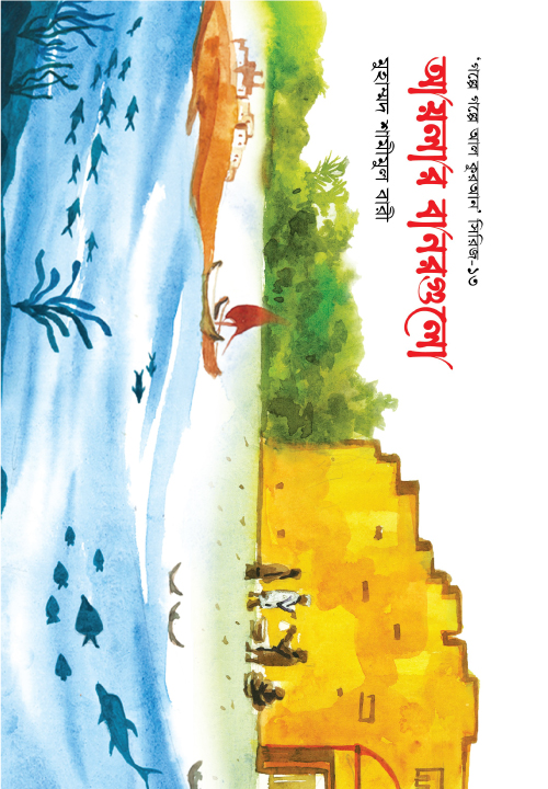 আয়লার বানরগুলো-১৩